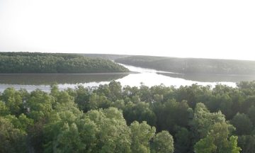 bike tour to can gio mangrove forest