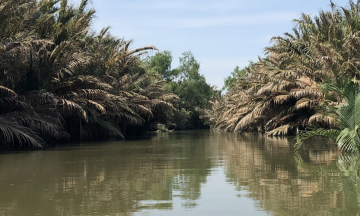 Mekong Delta Vietnam